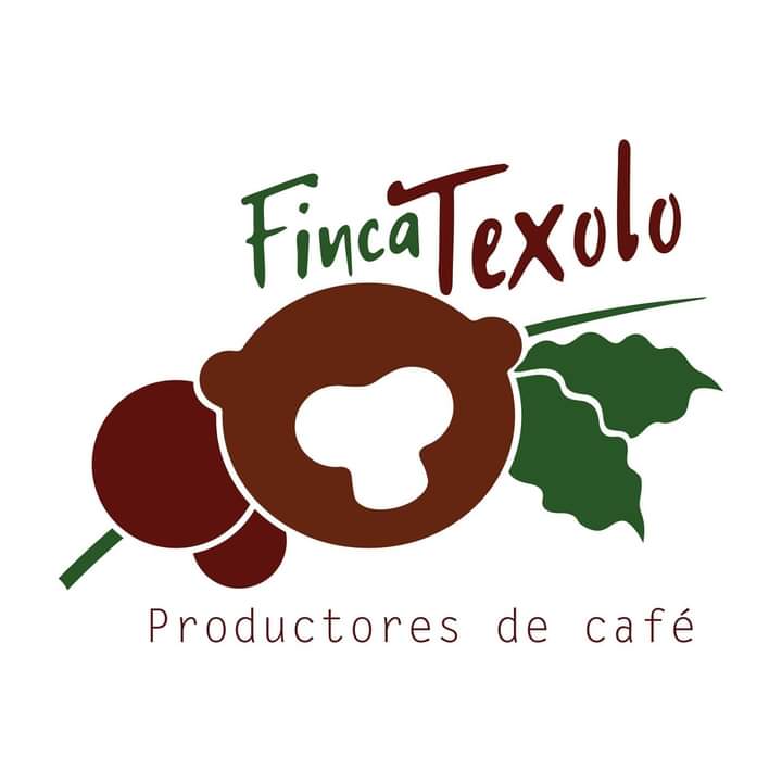 FINCA TEXOLO